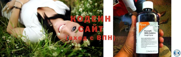 мдпв Осинники